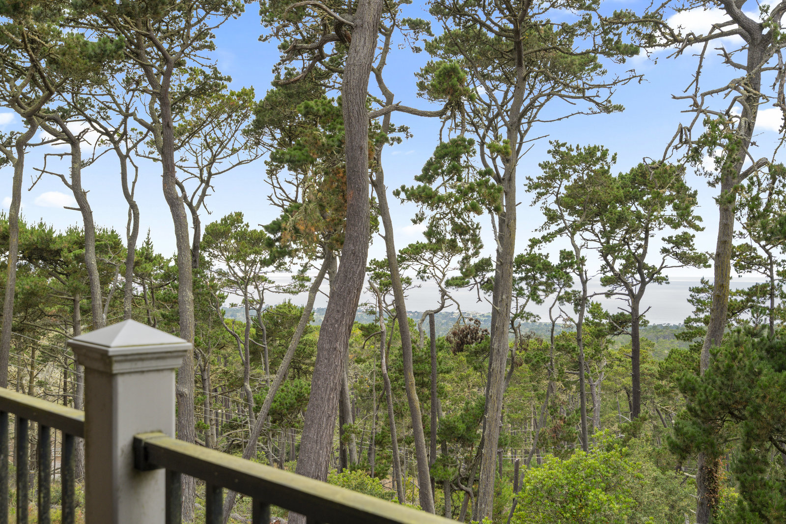 250 Forest Ridge Road#5 Monterey Ca. 93940