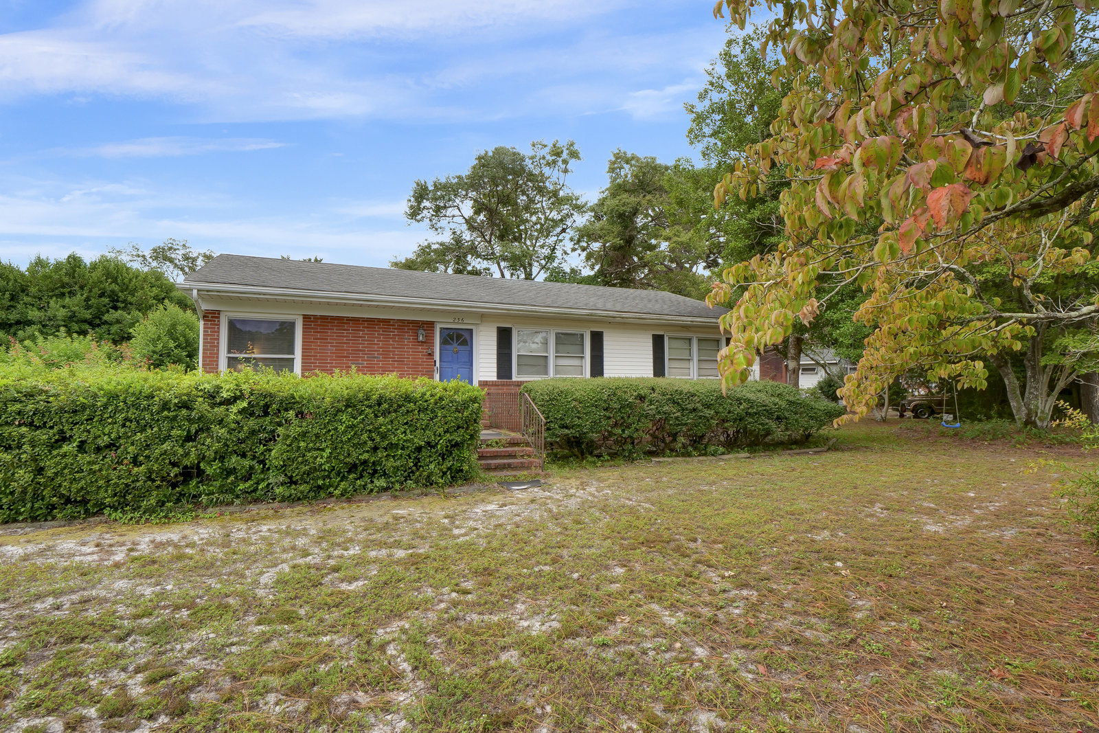 236 Spruce Drive