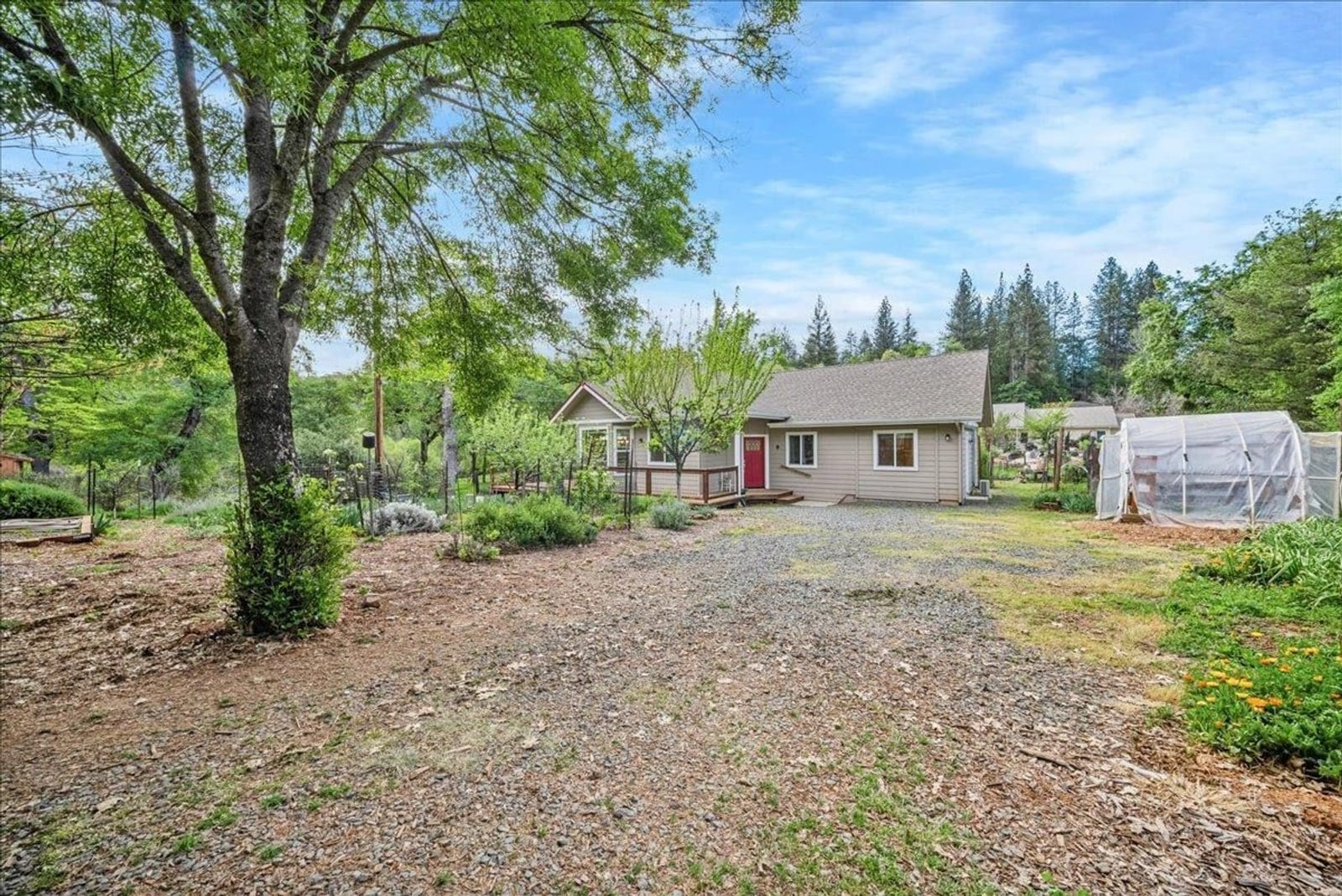 709 Cole Rd