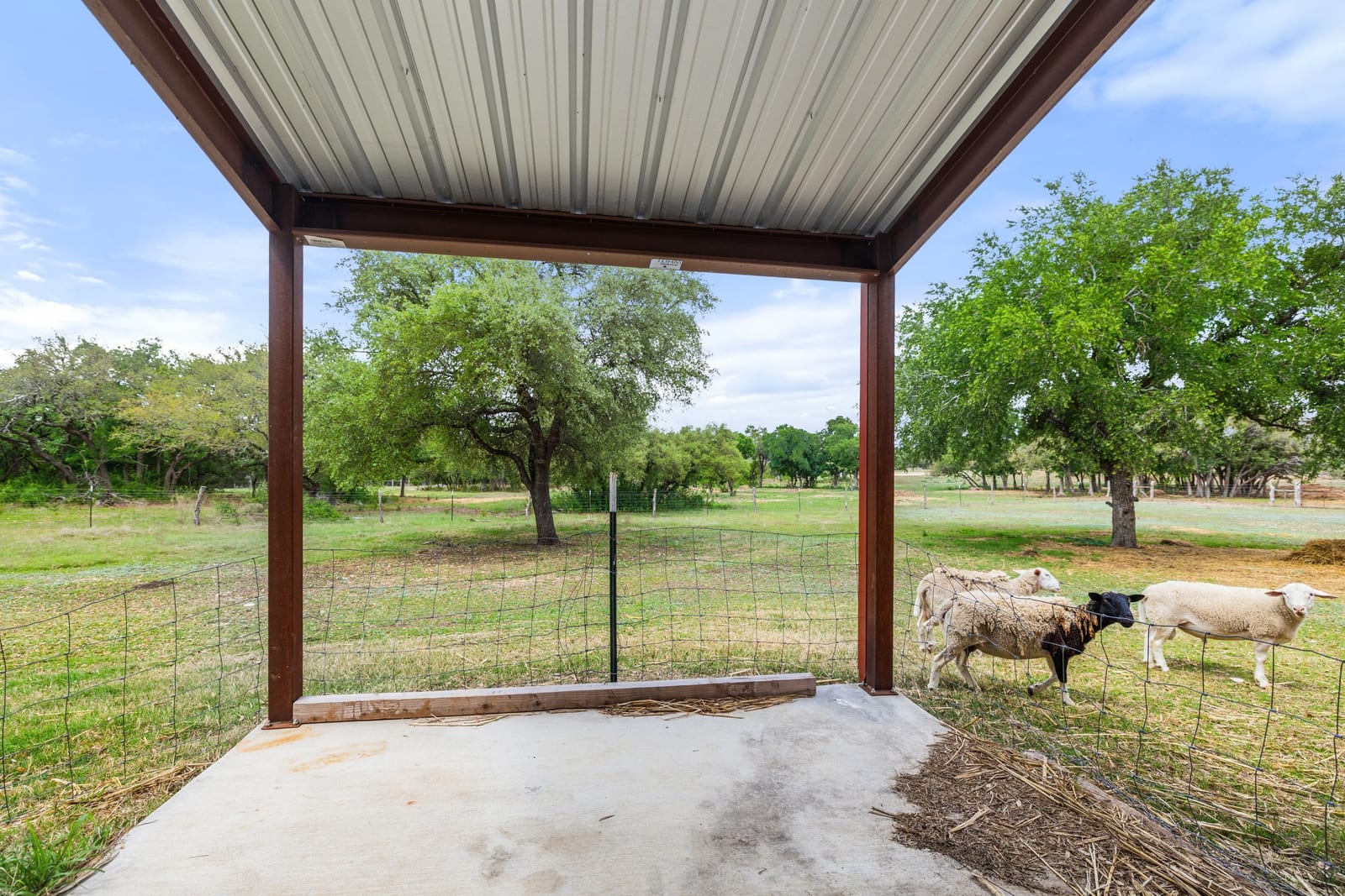 Florence ranch photo 18